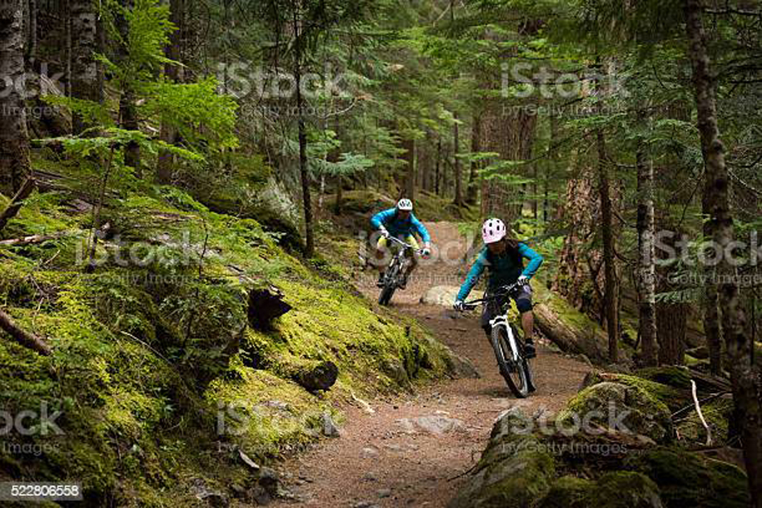 Couple mountain biking through a forest